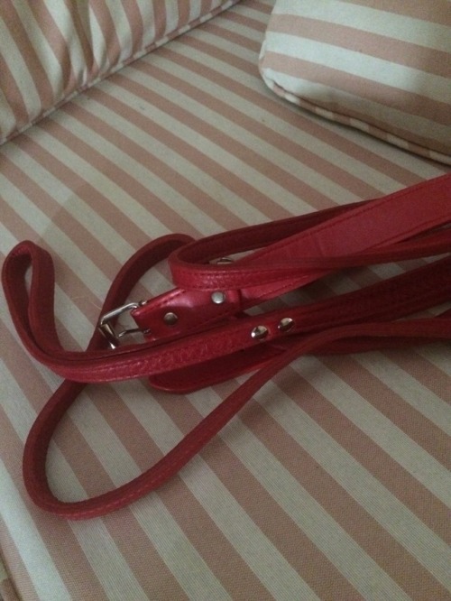 marionapplemax:  Showing submission to Master