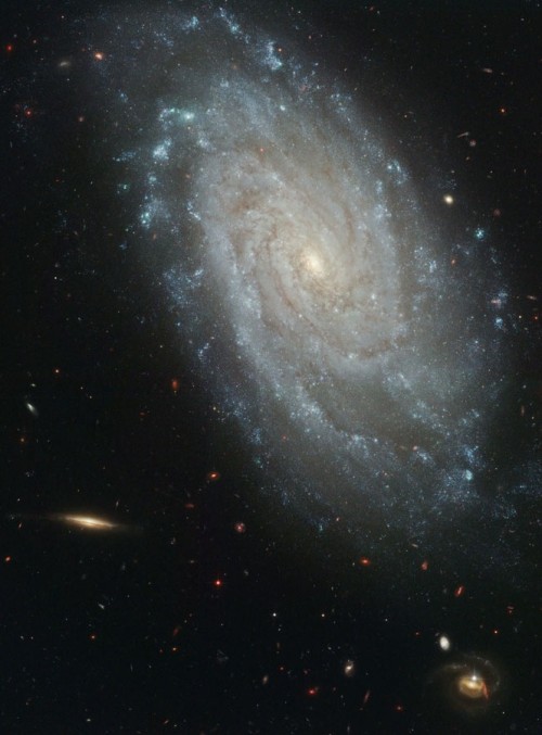 atomstargazer: APOD | 2013 August 8 | NGC 3370: A Sharper View Image Credit: NASA, ESA, Hubble Herit