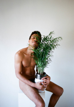 kameronrichie:  Kameron Richie, Portrait with Dwarf Palm, 2015 