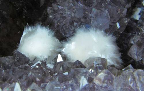 bijoux-et-mineraux:Mordenite on Quartz var. Amethyst - Olenti Shirdu, Ahmadnagar District, Maharasht