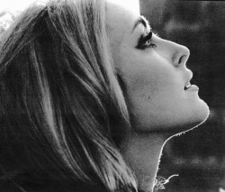 Sharon Tate, photographed for Eye of The