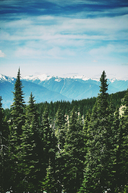marosaurr:  Port Angles, WA Nikon D70 on Flickr.  Hope you enjoyed my neck of the