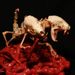 forgottenboneyard:  &lsquo;Dicephalism&rsquo; I made this creature in mid-2012 to display at my first horror convention (Flashback Weekend in Chicago) using bones from four different species. This piece was also featured in Girls and Corpses magazine