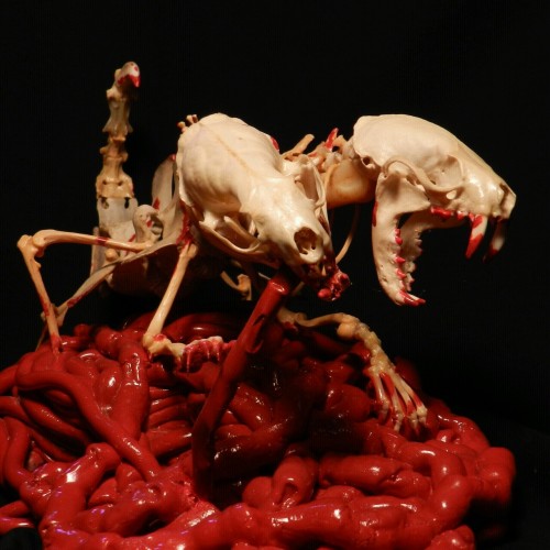 forgottenboneyard:  ‘Dicephalism’ I made this creature in mid-2012 to display at my first horror convention (Flashback Weekend in Chicago) using bones from four different species. This piece was also featured in Girls and Corpses magazine