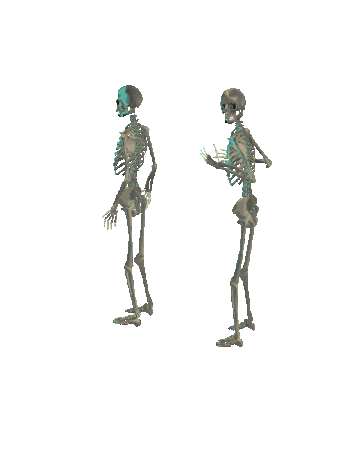 skelefight