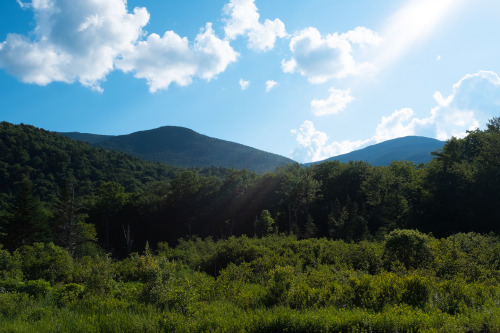 ariweinklephotography:From Below.