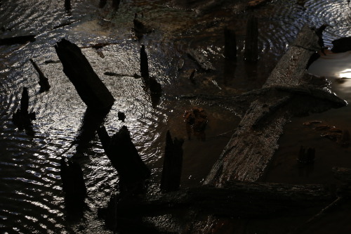 Bronze Age Wooden Causeway and Platform at Flag Fen Bronze Age Centre, Peterborough. This prehistori