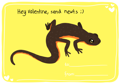 amphibianaday:some amphibian valentines! feel free ot use them :D(day 464)