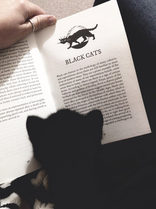 live-with-cats:  my black cat’s called Cora, I love her ♥