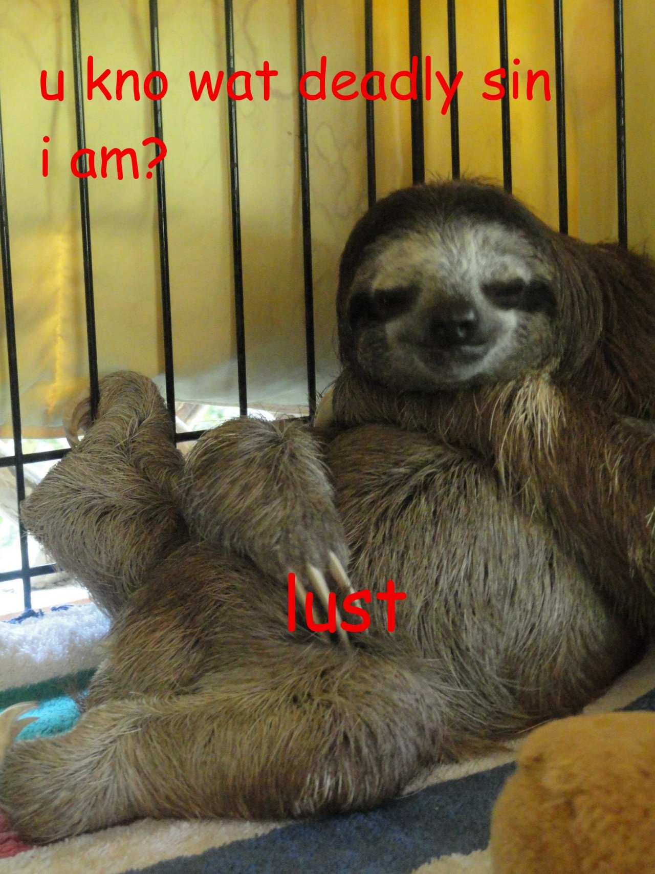 slothpls:  slothpls.tumblr.com 