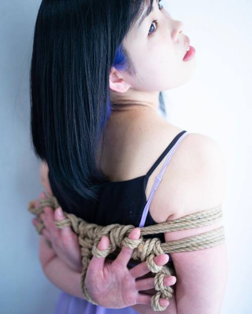 Thevertigonetwork:  Shibari &Amp;Amp; Photo Hajime Kinoko