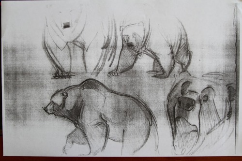 maria-ruta:the-disney-elite:Aaron Blaise’s gorgeous character studies for Brother Bear (2003).