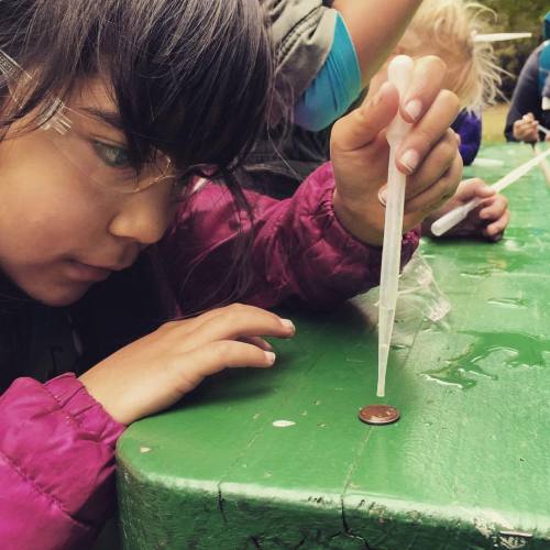 How many drops can YOU fit on a penny? This camper is learning the important water properties of coh