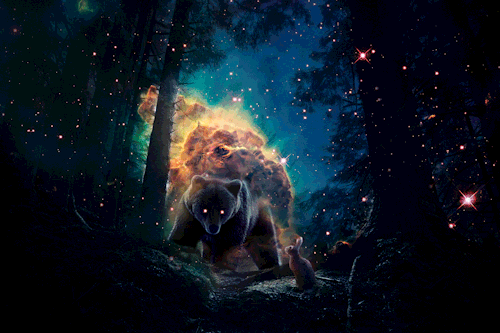 Guard Of The Star Forest Collage made with Photoshop.