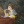 oldnapkinned: I feel like I can legitimately sue half of you for the things you make