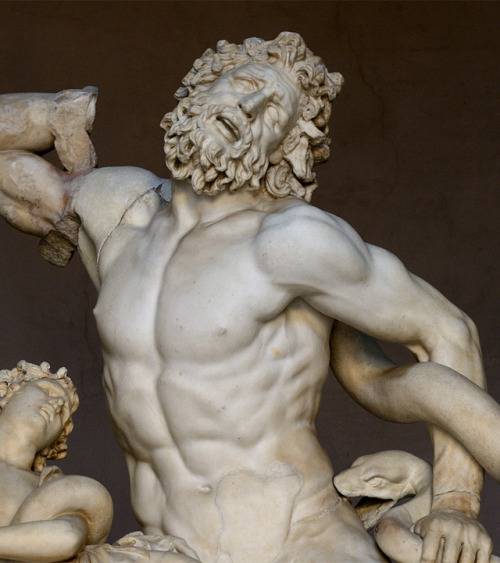 theancientwayoflife:~ The Laocoon group.Date: A.D. 1st century Medium: MarbleProvenance : Rome, Vati