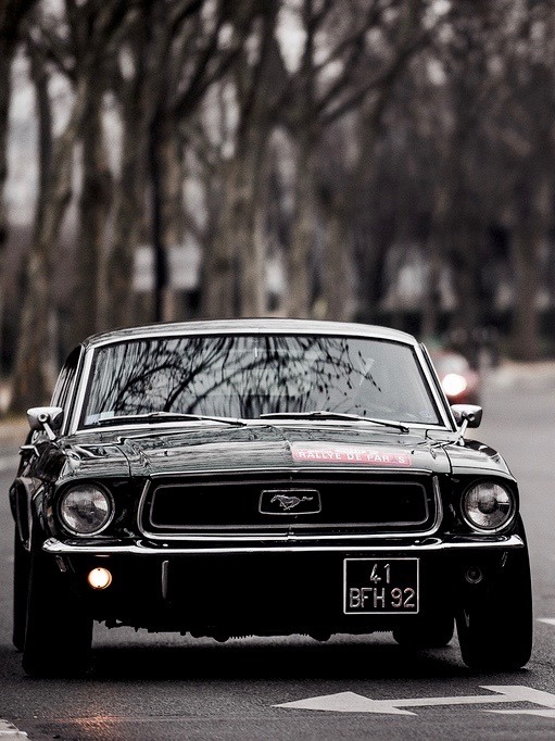 brunettejuliet:  utwo:  ‘67 Mustang Fastback© kevin goudin  Damnnnnnn  😍😍