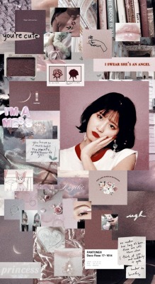 Momo Wallpaper Tumblr