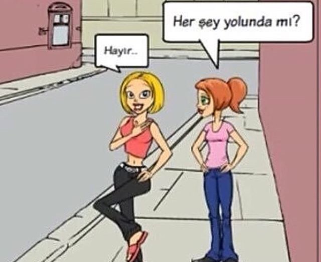 -Herşey yolunda mı?
+ Hayır