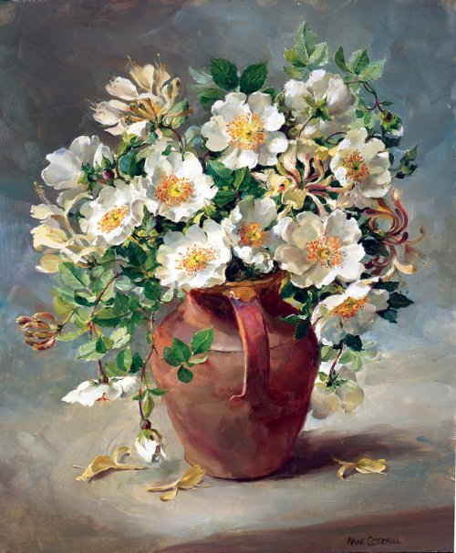 wonderingaesthetic:  Anne Coterill