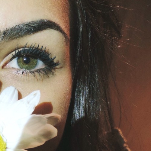 http://forevermydreams93.tumblr.com/post/103206502370