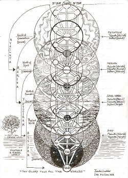 laveyinthehouse:  Kabbalistic Tree Of Life.