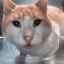transvaginaltransmasc