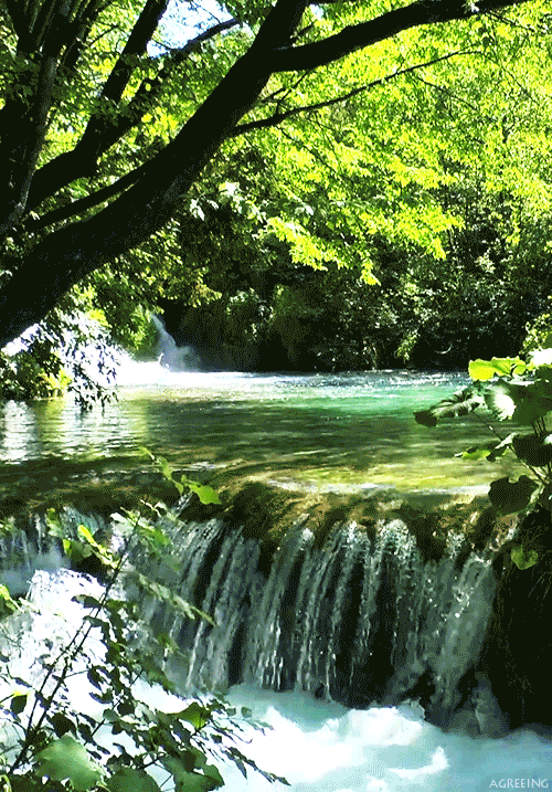 agreeing123123-deactivated20140:  Plitvice Lakes By me