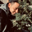 thebudtendersociety