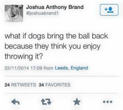 alloverthegaf:  legalwifi:  THE REAL QUESTION   Then my dog’s an asshole because he never brings the ball back