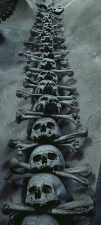 fallbabylon: Skeletal remains- Sedlec Ossuary, Kutna Hora, Czech Republic 