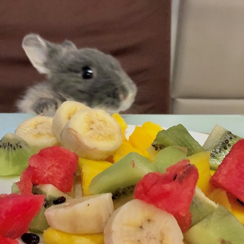 Trying To Steal Some Fruit