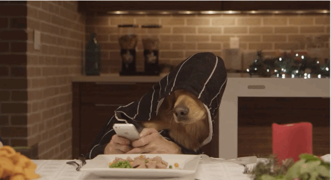 streupdawg:  When your parents ask you to join them for dinner…….. 