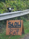 catasters: