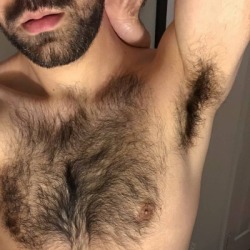 Hairybittzhairymen