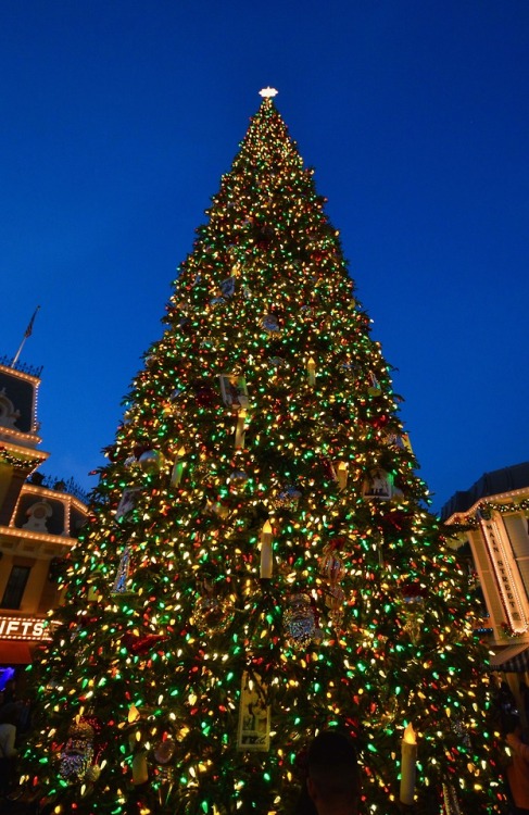 Disneyland’s new Christmas Tree for 2018!