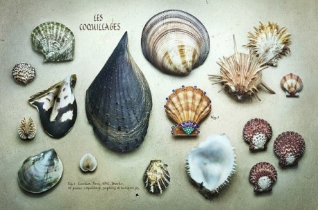 carmidoll:  Peter Lippmann 
