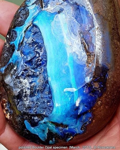 geologypage:  Large polished Boulder Opal specimen | #Geology #GeologyPage #Opal #Mineral  Locality: Pinkilla Opal mining area near Quilpie , Queensland , Australia  Geology Pagewww.geologypage.com