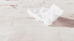scodelarioss:“I could easily forgive his pride, if he had not mortified mine.”