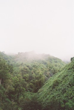 fieldsford:  Fog over the mountain. Olympus OM10 with Kodak 400 speed film. Blue Mountains, Jamaica, 2014.