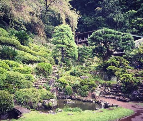 ＼庭園特別公開情報：明日！／ 明日5月19日（日）は戦国大名⚔️ #今川義元 ゆかりの寺院『臨済寺』の年に2日しかない一般公開日。 #国指定名勝 の庭園『臨済寺庭園』も公開されます！詳しくは下記より。