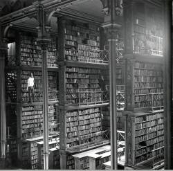 historicaltimes:  A man browsing for books