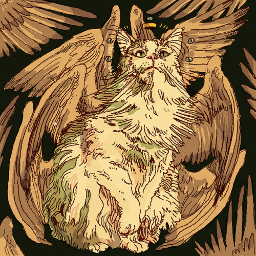 nutnoce:portrait of cat worship