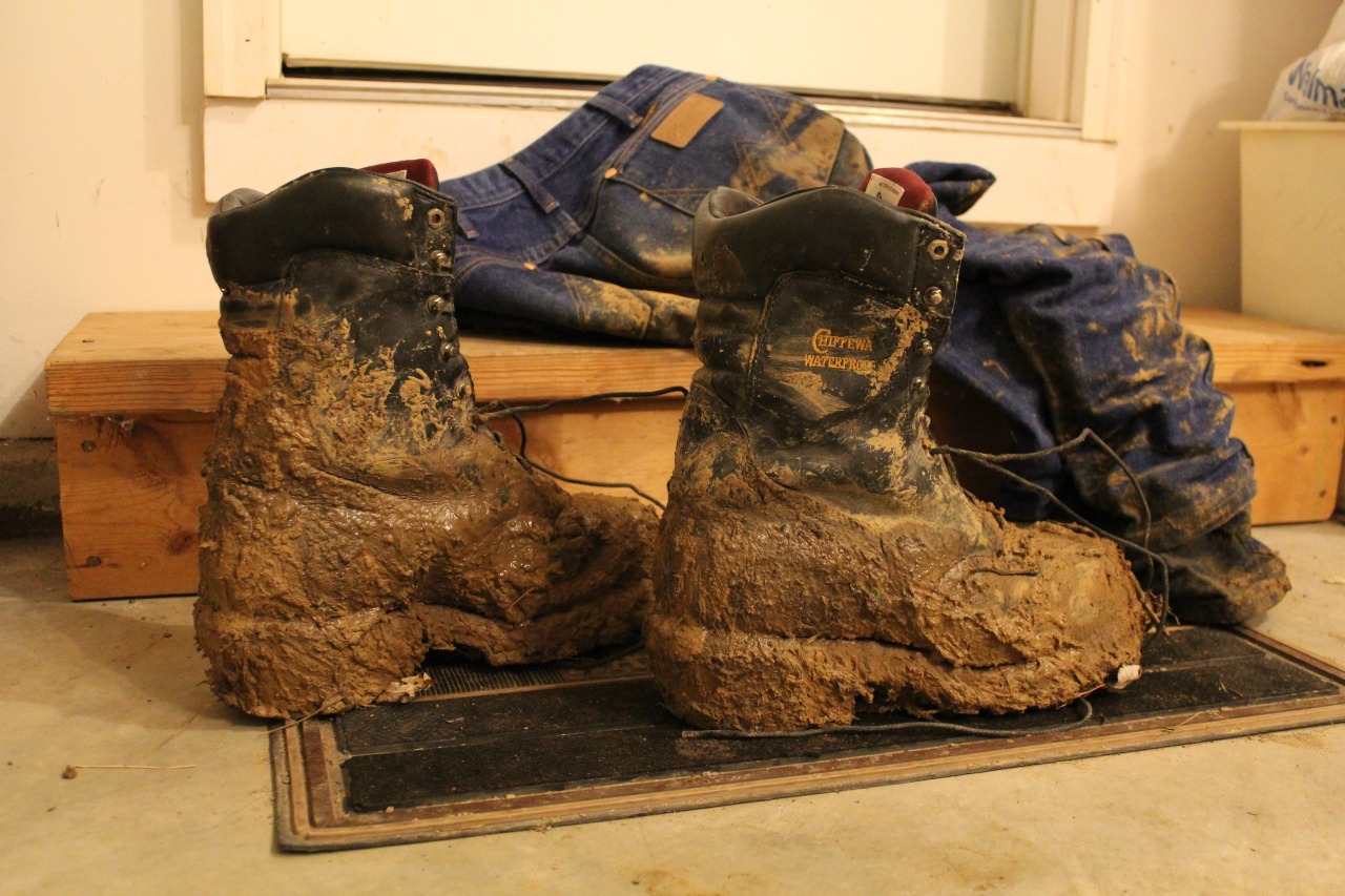 wetnmuddy:  Muddy Chipps and Wrangs 