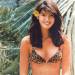 partial2theevening-deactivated2:Phoebe Cates 