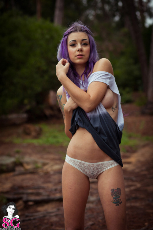 Plum Suicide