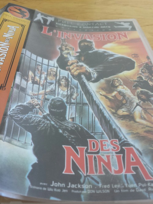 Ninja Destroyer, 1987. French VHS release of this Godfrey Ho movie starring Stuart Smith and Bruce B