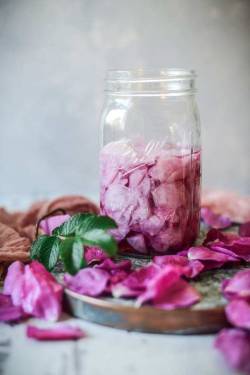 Sweetoothgirl:   Sparkling Summer Rose Vodka Soda