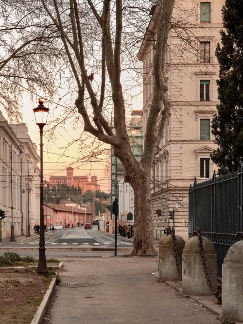 allthingseurope:  Trastevere, Rome (by francesco