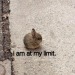 sleepy-bebby: